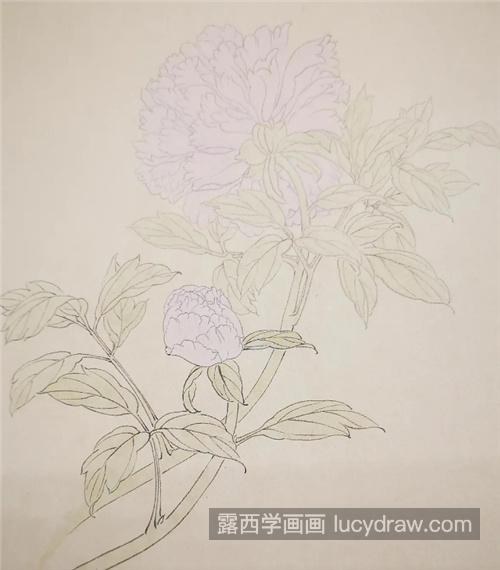 粉色芍药怎么画？有哪些工笔步骤？