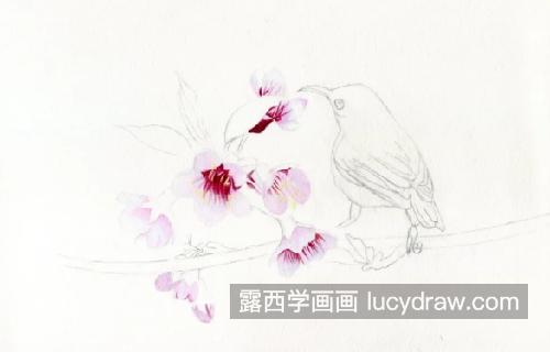 桃花小鸟怎么画？如何画粉嫩的桃花？