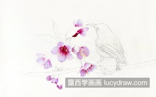 桃花小鸟怎么画？如何画粉嫩的桃花？