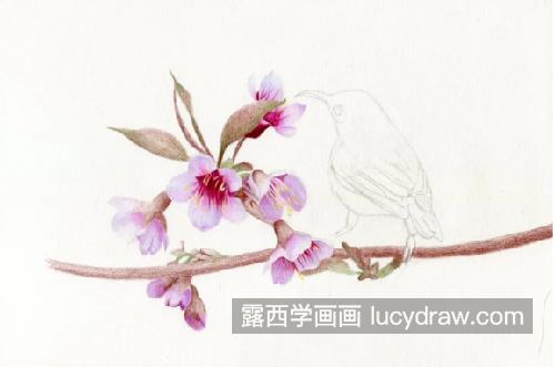 桃花小鸟怎么画？如何画粉嫩的桃花？