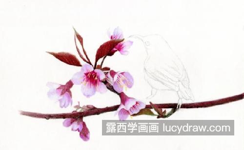 桃花小鸟怎么画？如何画粉嫩的桃花？