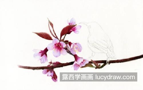 桃花小鸟怎么画？如何画粉嫩的桃花？