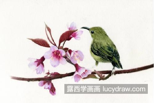 桃花小鸟怎么画？如何画粉嫩的桃花？