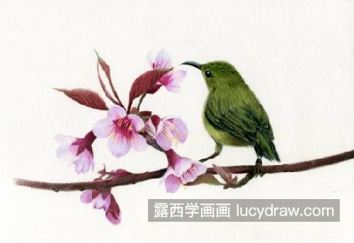 桃花小鸟怎么画？如何画粉嫩的桃花？