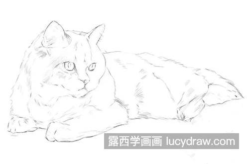 朦胧光线下的猫咪怎么画？有哪些绘画步骤？