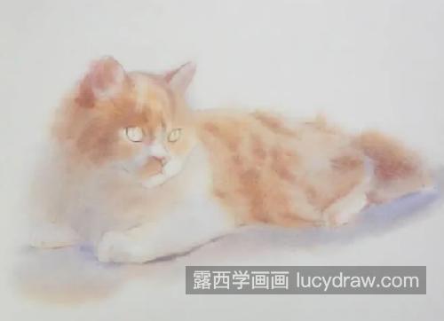 朦胧光线下的猫咪怎么画？有哪些绘画步骤？