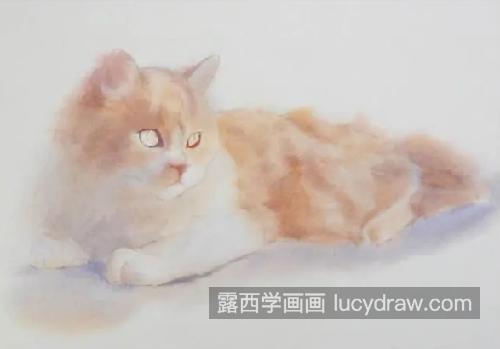 朦胧光线下的猫咪怎么画？有哪些绘画步骤？