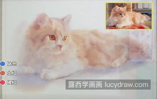 朦胧光线下的猫咪怎么画？有哪些绘画步骤？