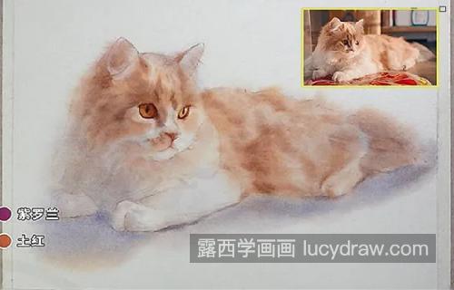 朦胧光线下的猫咪怎么画？有哪些绘画步骤？