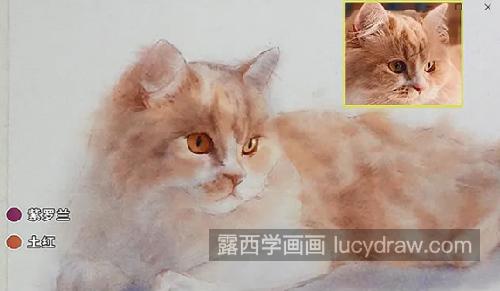 朦胧光线下的猫咪怎么画？有哪些绘画步骤？