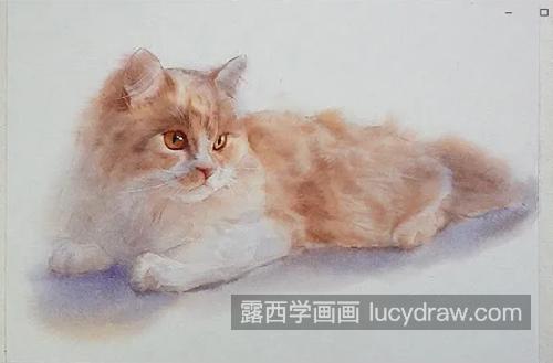 朦胧光线下的猫咪怎么画？有哪些绘画步骤？