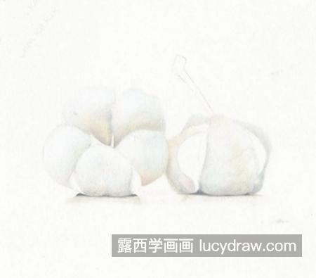 新疆棉花怎么画？有哪些彩铅绘画步骤？