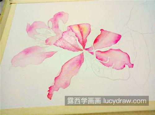 紫荆花怎么画？水彩画法是什么？