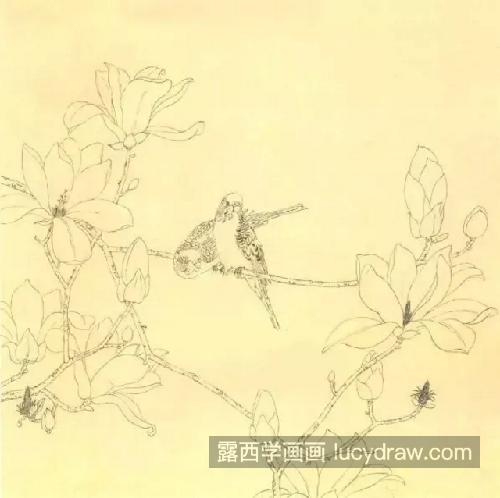 玉兰花和绿鸟怎么画？详细的工笔画法是什么？