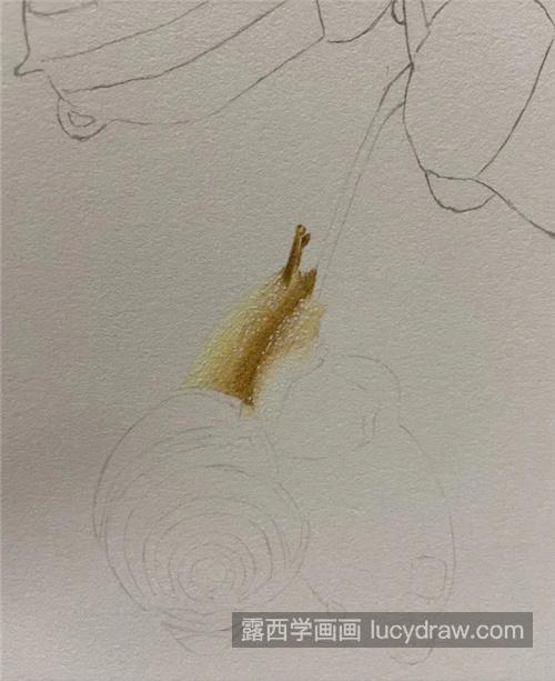 蜗牛怎么画？谷雨小画的画法是什么？
