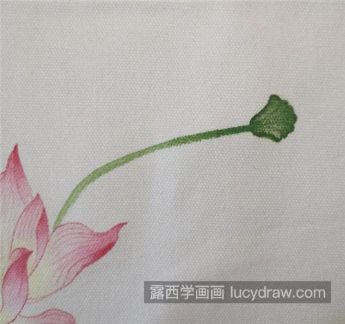 水彩荷花怎么画？翠鸟有哪些绘画步骤？