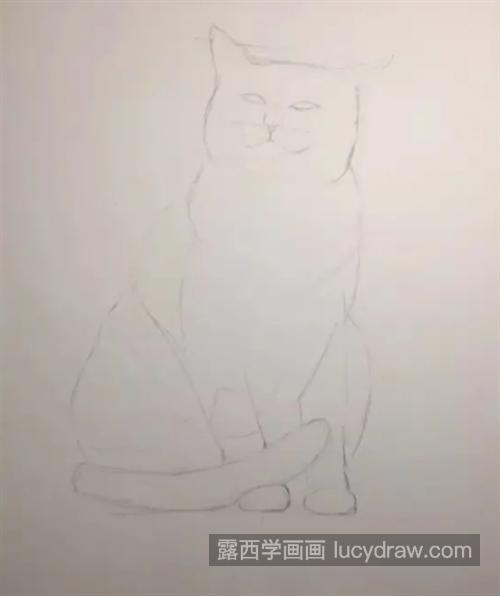 橘猫怎么画？如何表达猫咪的慵懒形象？