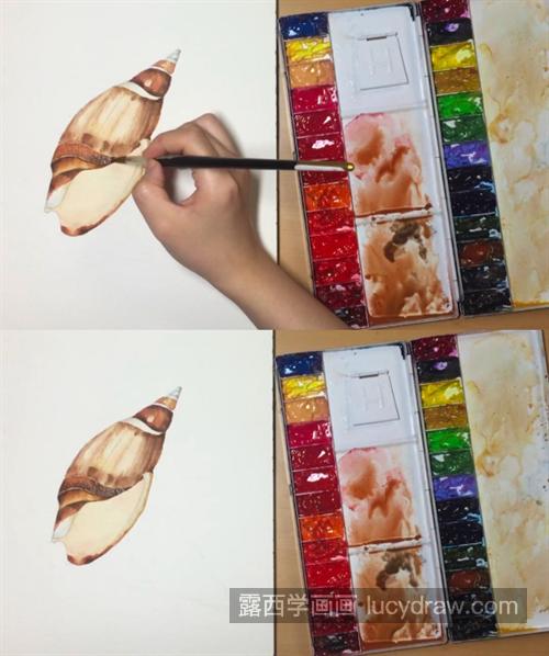 海螺怎么画？超级详细的水彩过程分享