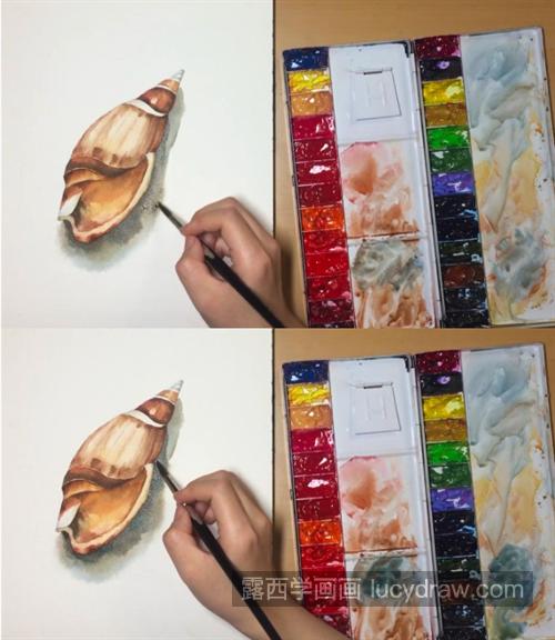 海螺怎么画？超级详细的水彩过程分享