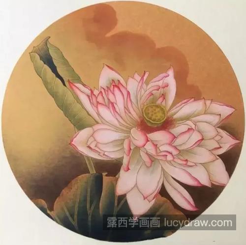 粉色荷花怎么画？染色步骤有几步？