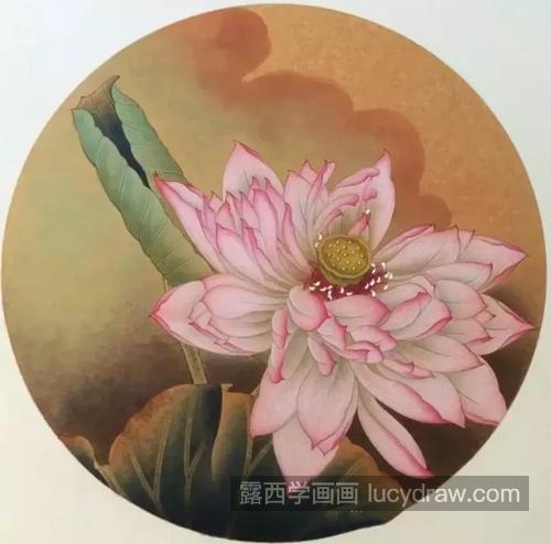 粉色荷花怎么画？染色步骤有几步？