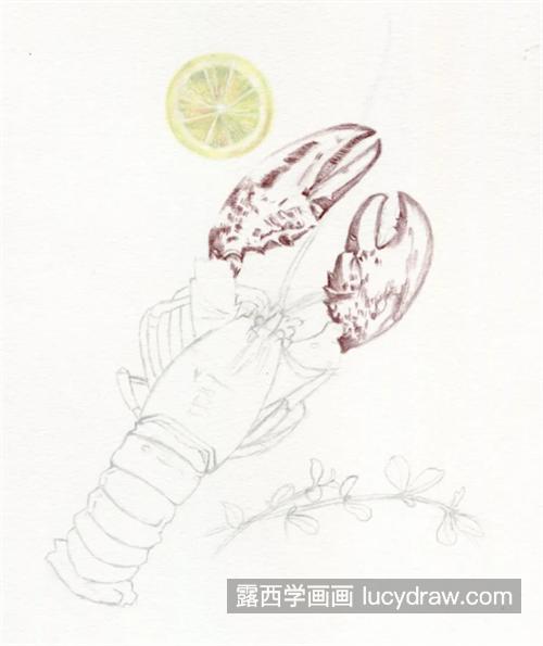 龙虾怎么画？有哪些绘画步骤？