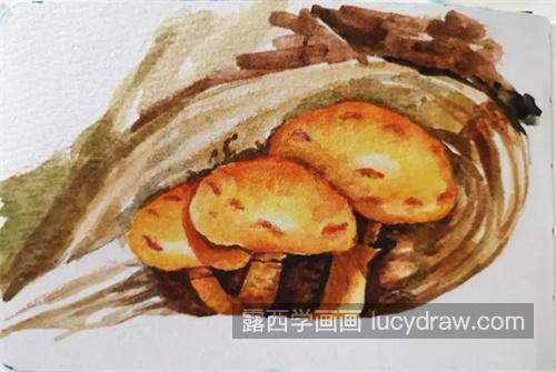 野生菌怎么画？有哪些水彩步骤？