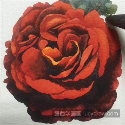 红玫瑰怎么画？详细的水彩过程是什么？
