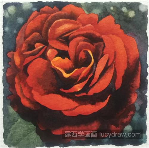 红玫瑰怎么画？详细的水彩过程是什么？