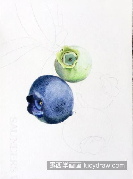 蓝莓怎么画？详细的绘画步骤有哪些？