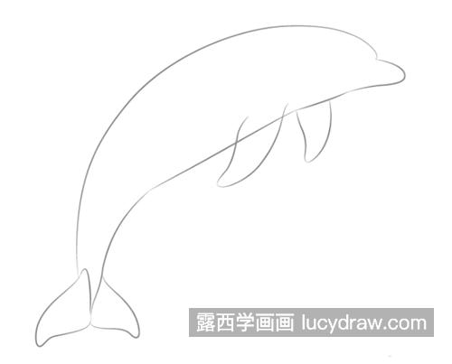 海豚怎么画？简笔画步骤有几步？