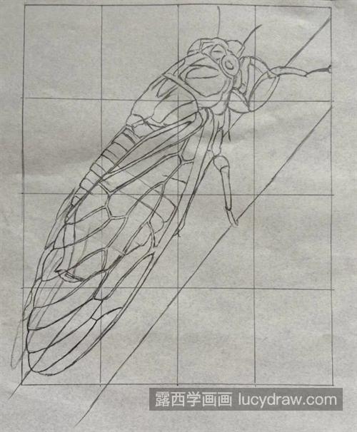 蝉怎么画？教你画一只斑斓的知了