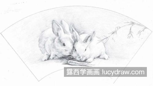 扇面兔子怎么画？小兔子的素描教程是什么？