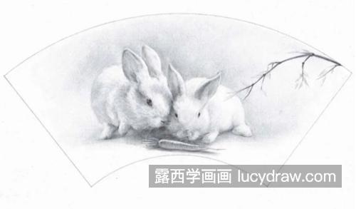 扇面兔子怎么画？小兔子的素描教程是什么？