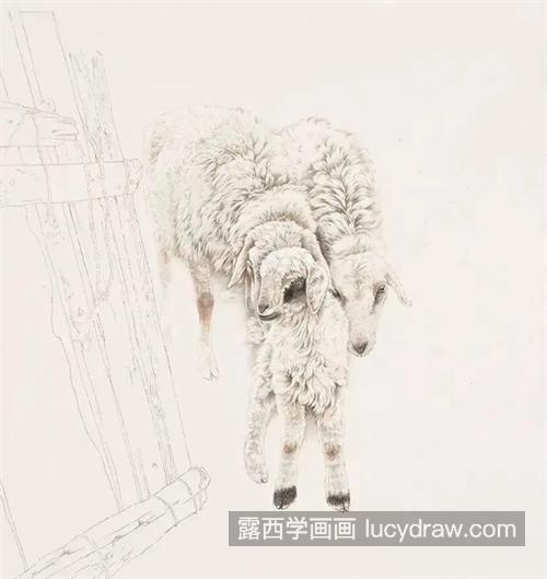 绵羊怎么画？有哪些绘画步骤？