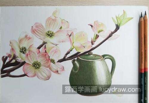 山茱萸花怎么画？简单的彩铅绘画过程是什么？