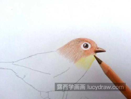 画眉鸟怎么画？教你画一只可爱的画眉