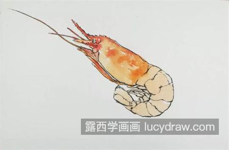 小龙虾怎么画？教你画一只小龙虾