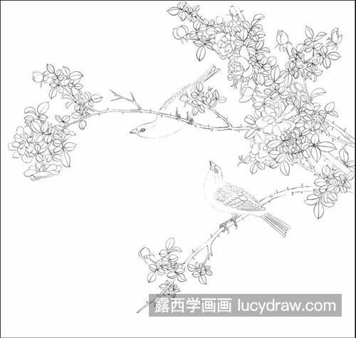 映山红白描图片图片