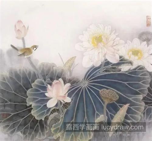 工笔荷花怎么画？绘画步骤有哪些？