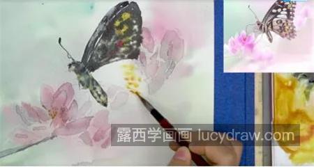 水彩蝴蝶怎么画？绘画流程是什么？