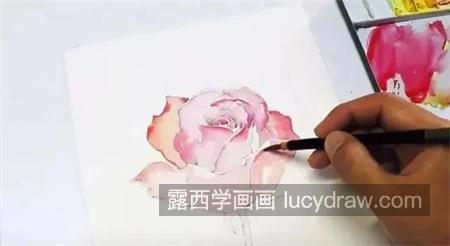 水彩玫瑰怎么画？简单的画法是什么？