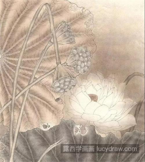 白莲花怎么画？白荷花的绘画过程有哪些？