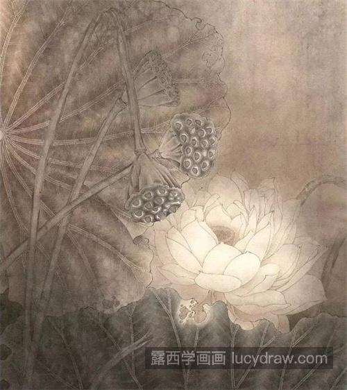 白莲花怎么画？白荷花的绘画过程有哪些？