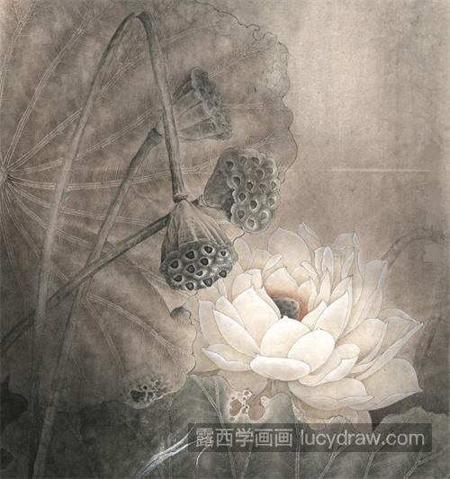 白莲花怎么画？白荷花的绘画过程有哪些？