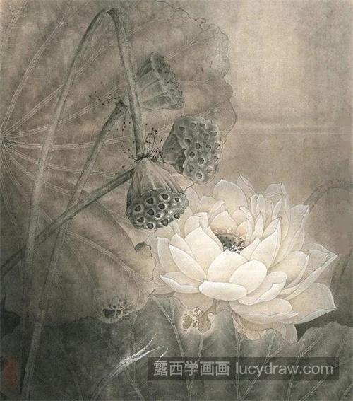 白莲花怎么画？白荷花的绘画过程有哪些？