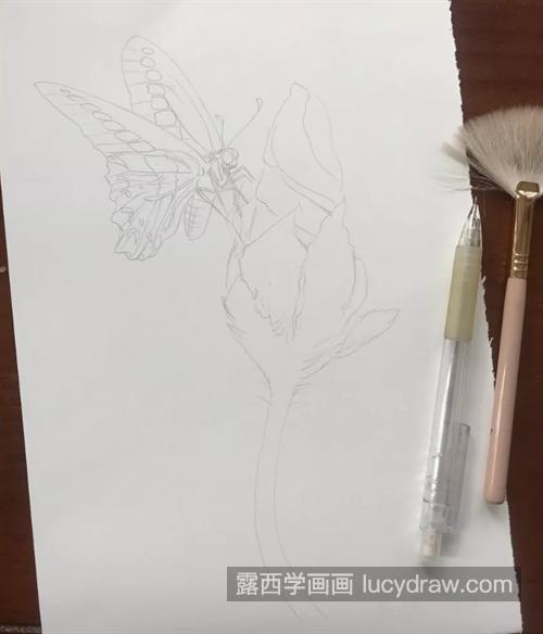 蝶恋花怎么画？如何画出毛绒的质感？