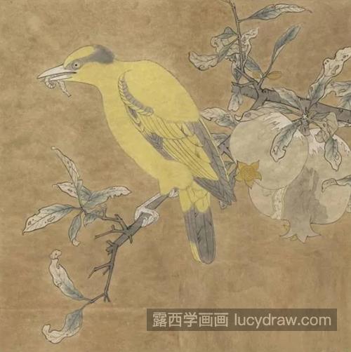 石榴黄鸟怎么画？工笔画步骤有几步？