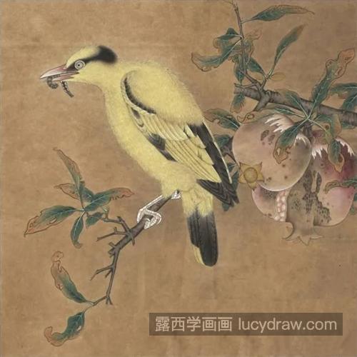 石榴黄鸟怎么画？工笔画步骤有几步？