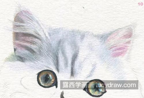 白猫怎么画？有哪些儿童绘画步骤？